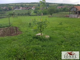 teren-intravilan-3664-mp-de-vanzare-in-henig